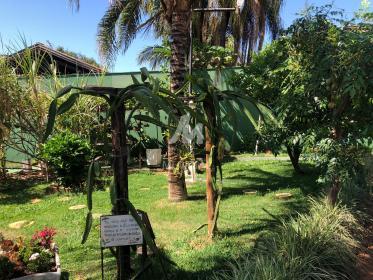 28 - Jardim
