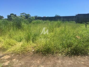1 - Terreno/Lote