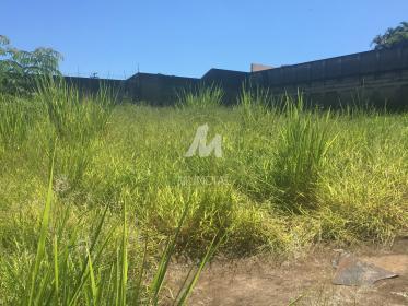 2 - Terreno/Lote