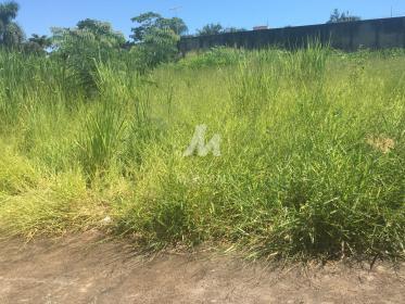2 - Terreno/Lote