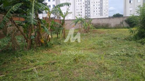 1 - Terreno/Lote
