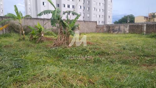 3 - Terreno/Lote