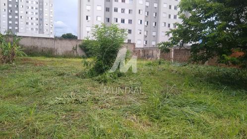 4 - Terreno/Lote