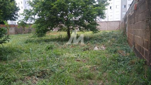 5 - Terreno/Lote