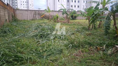 6 - Terreno/Lote