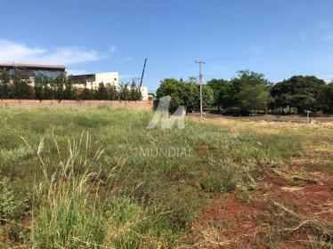 3 - Terreno/Lote