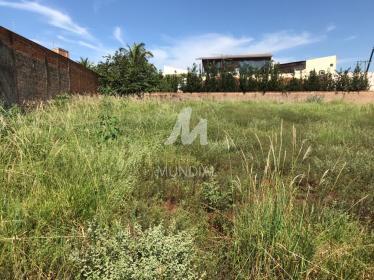 4 - Terreno/Lote