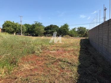 5 - Terreno/Lote