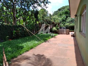 17 - Quintal/corredores