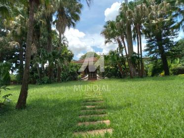 21 - Jardim