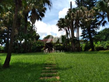 24 - Jardim
