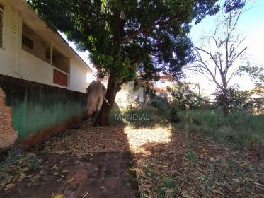19 - Terreno/Lote