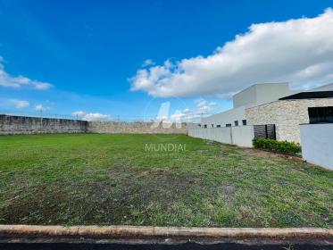 2 - Terreno/Lote