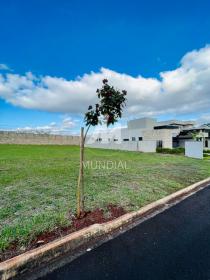 3 - Terreno/Lote