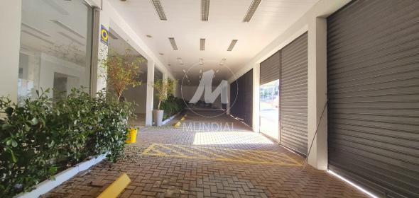4 - Garagem/estacionamento