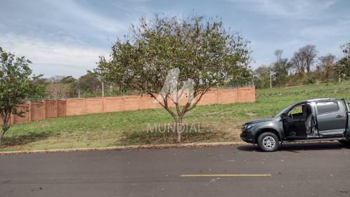 1 - Terreno/Lote