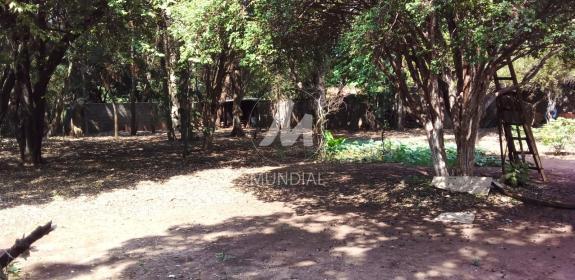 17 - Quintal/corredores