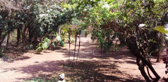 24 - Quintal/corredores