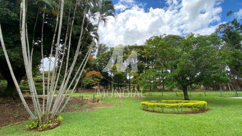 21 - Jardim