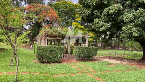 23 - Jardim