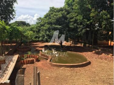 17 - Quintal/corredores