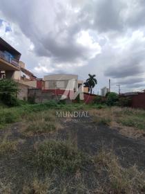 3 - Terreno/Lote
