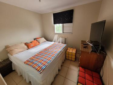 3 - Suite