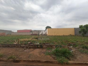 1 - Terreno/Lote