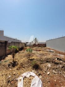 3 - Terreno/Lote
