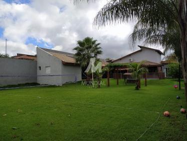 41 - Jardim