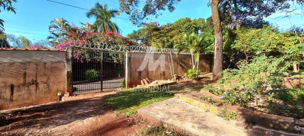 16 - Quintal/corredores