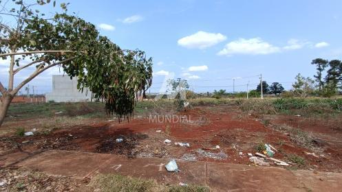 1 - Terreno/Lote