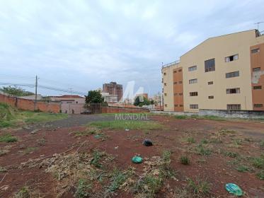 4 - Terreno/Lote