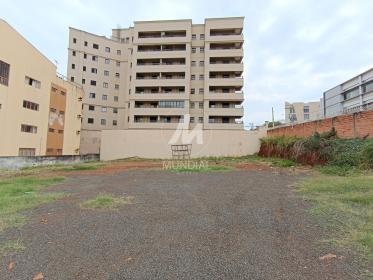5 - Terreno/Lote