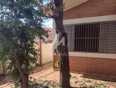 14 - Quintal/corredores