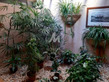 16 - Jardim