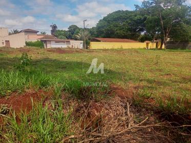 1 - Terreno/Lote