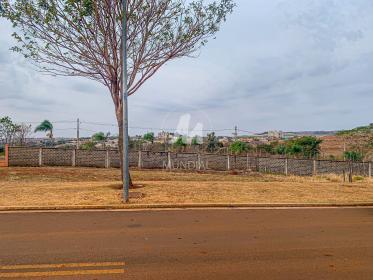 4 - Terreno/Lote