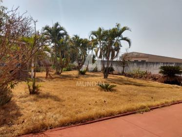 29 - Quintal/corredores