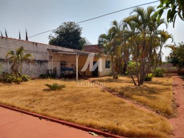 30 - Quintal/corredores