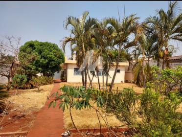 31 - Quintal/corredores