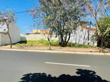 1 - Terreno/Lote