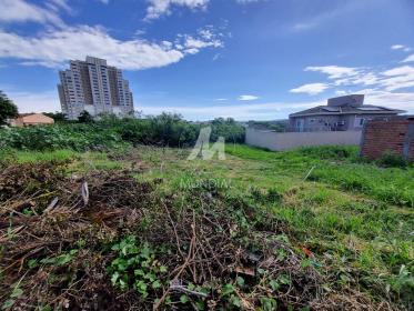 4 - Terreno/Lote
