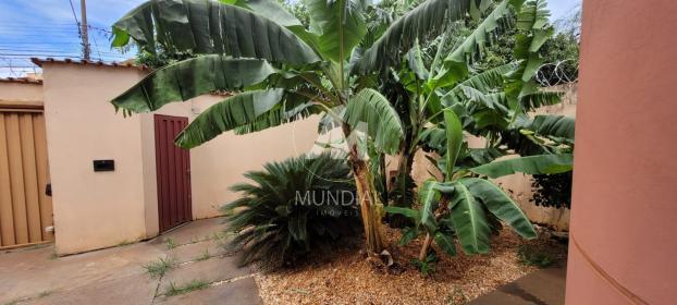 2 - Jardim