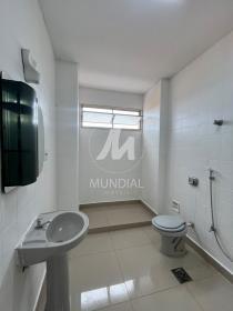 12 - Suite