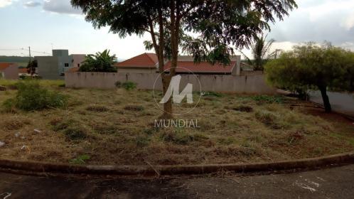 1 - Terreno/Lote