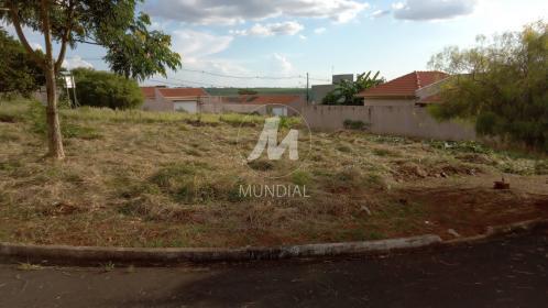 3 - Terreno/Lote