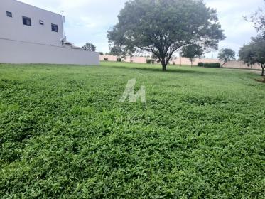1 - Terreno/Lote
