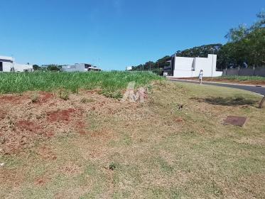 2 - Terreno/Lote