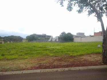 2 - Terreno/Lote